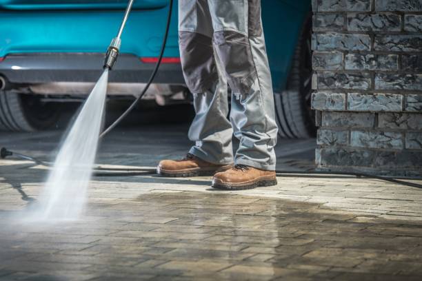 Best Winterizing Services  in Smackover, AR